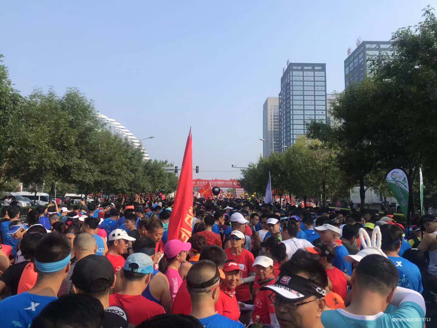 我的二马全纪录-2019沈阳马拉松