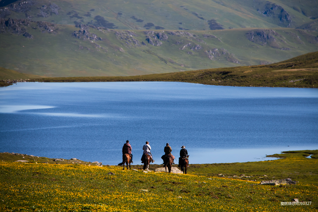 纵情奔跑在鲜花盛开的诗意远方｜2019喀纳斯超级越野赛