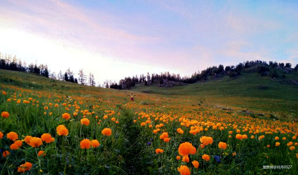 纵情奔跑在鲜花盛开的诗意远方｜2019喀纳斯超级越野赛