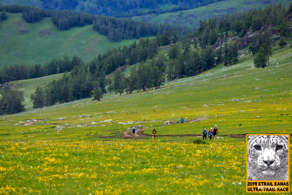 纵情奔跑在鲜花盛开的诗意远方｜2019喀纳斯超级越野赛