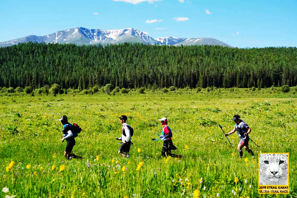 纵情奔跑在鲜花盛开的诗意远方｜2019喀纳斯超级越野赛