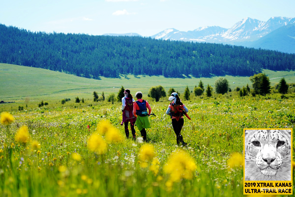 纵情奔跑在鲜花盛开的诗意远方｜2019喀纳斯超级越野赛