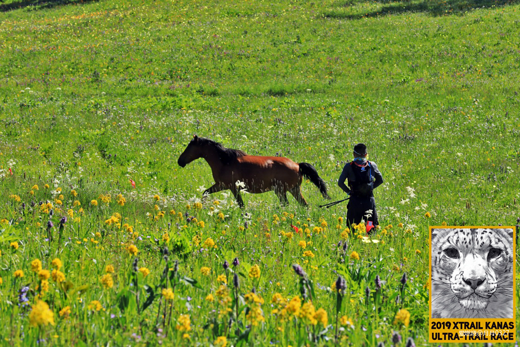 纵情奔跑在鲜花盛开的诗意远方｜2019喀纳斯超级越野赛