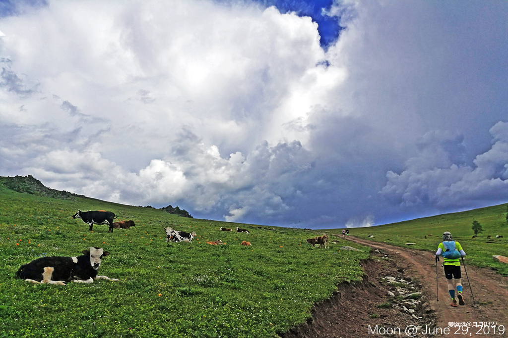 纵情奔跑在鲜花盛开的诗意远方｜2019喀纳斯超级越野赛
