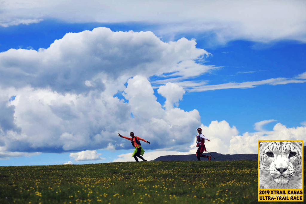纵情奔跑在鲜花盛开的诗意远方｜2019喀纳斯超级越野赛