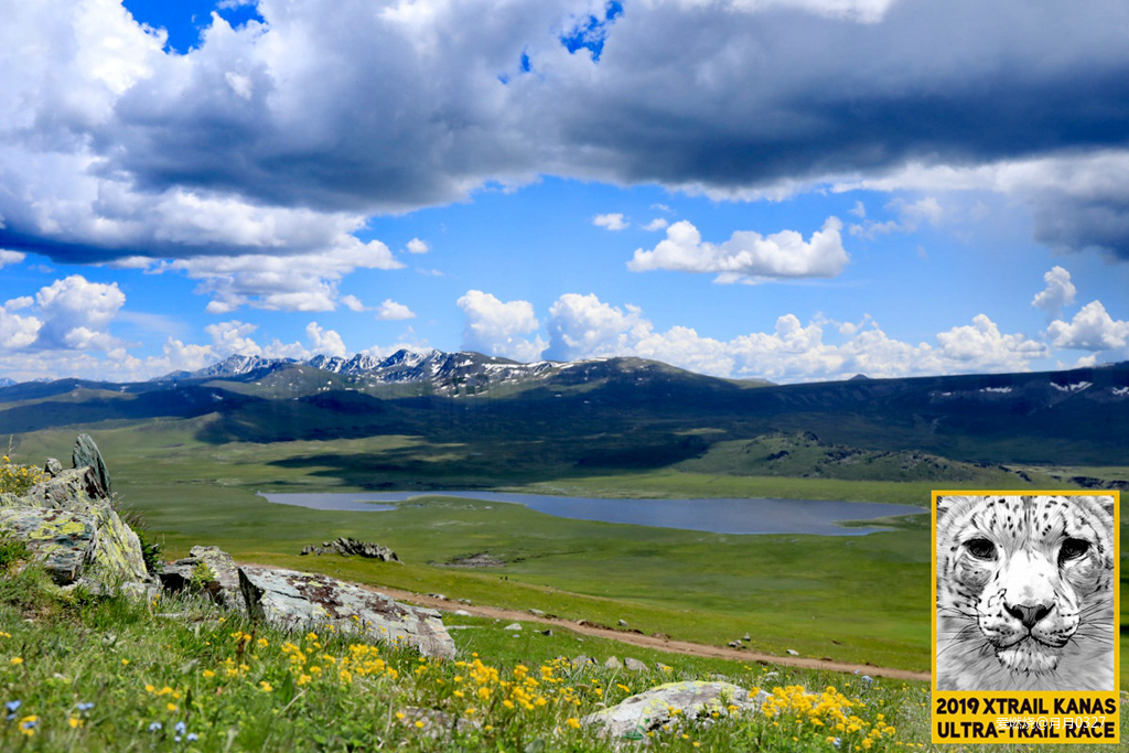 纵情奔跑在鲜花盛开的诗意远方｜2019喀纳斯超级越野赛