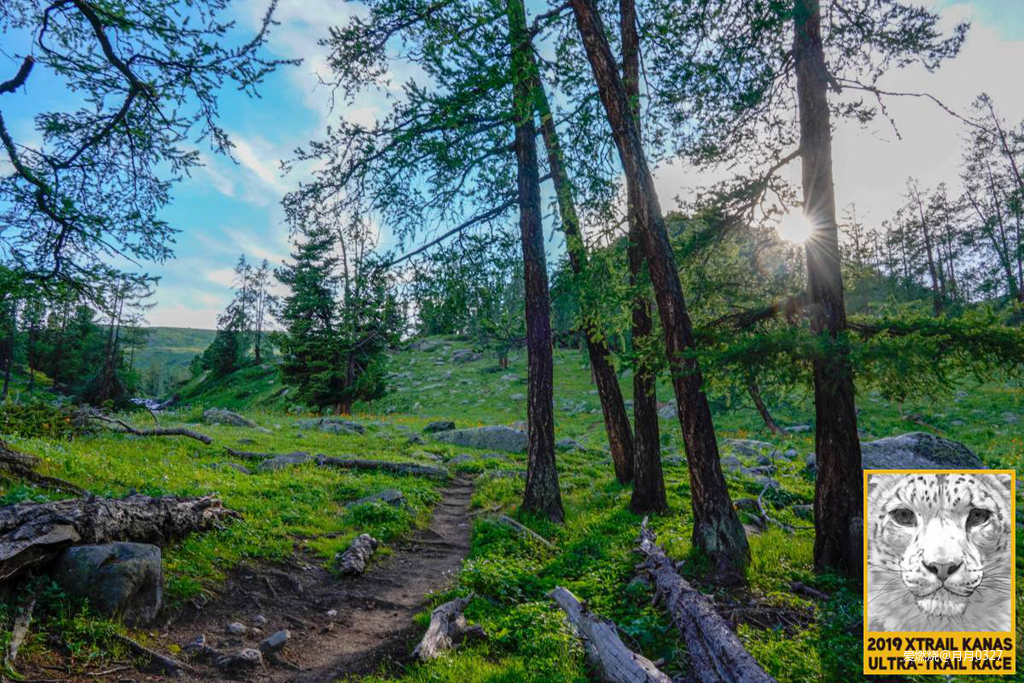 纵情奔跑在鲜花盛开的诗意远方｜2019喀纳斯超级越野赛