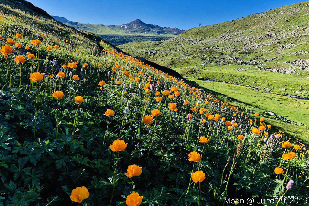 纵情奔跑在鲜花盛开的诗意远方｜2019喀纳斯超级越野赛