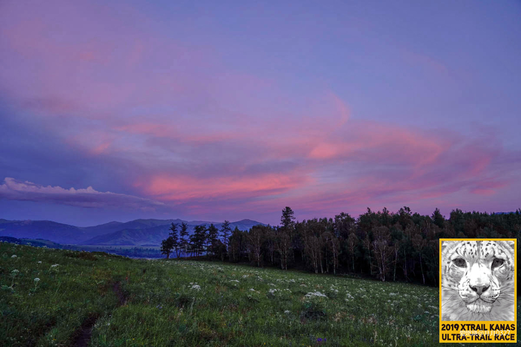 纵情奔跑在鲜花盛开的诗意远方｜2019喀纳斯超级越野赛