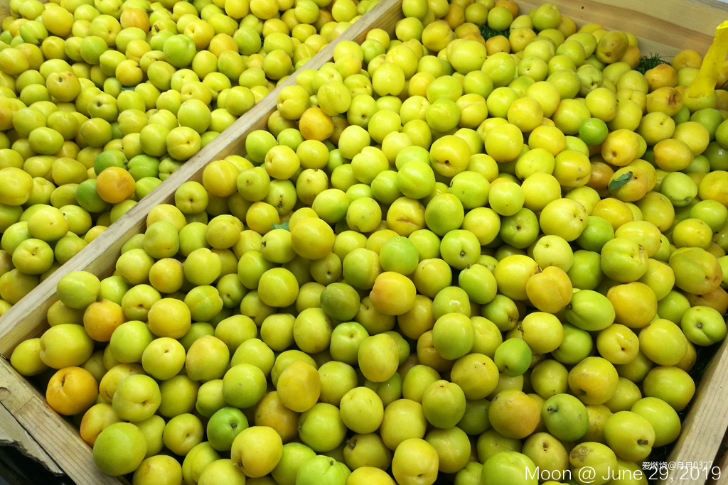 纵情奔跑在鲜花盛开的诗意远方｜2019喀纳斯超级越野赛