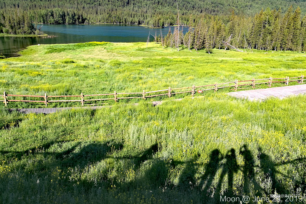 纵情奔跑在鲜花盛开的诗意远方｜2019喀纳斯超级越野赛