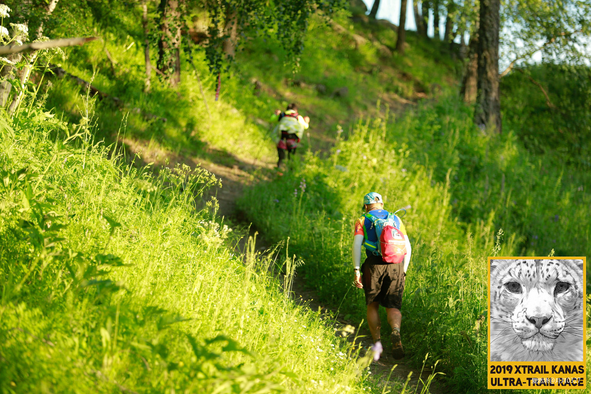 纵情奔跑在鲜花盛开的诗意远方｜2019喀纳斯超级越野赛