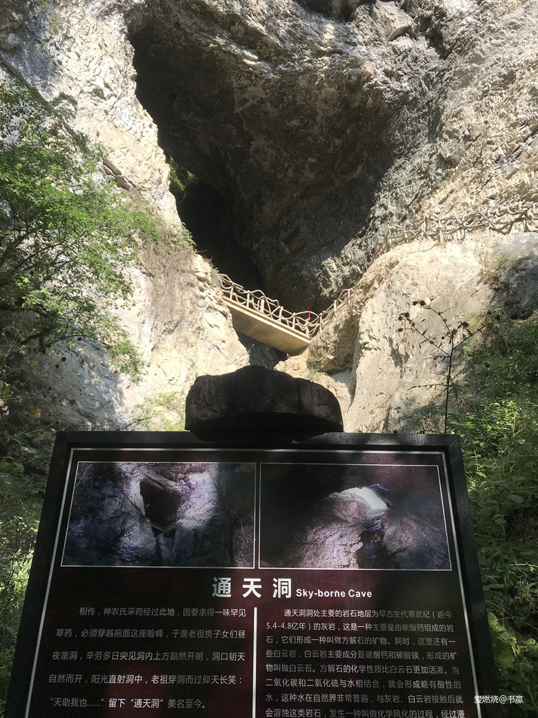 神农见首不见尾