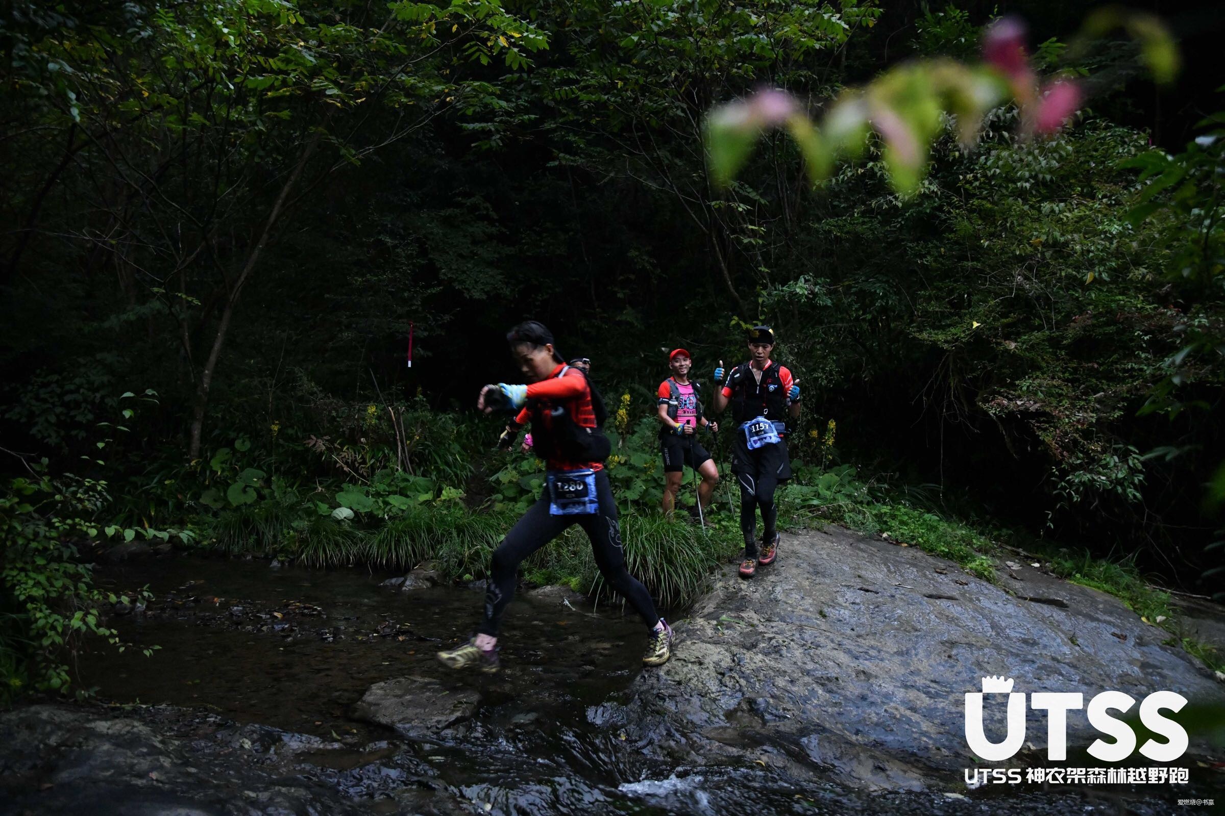 神农见首不见尾