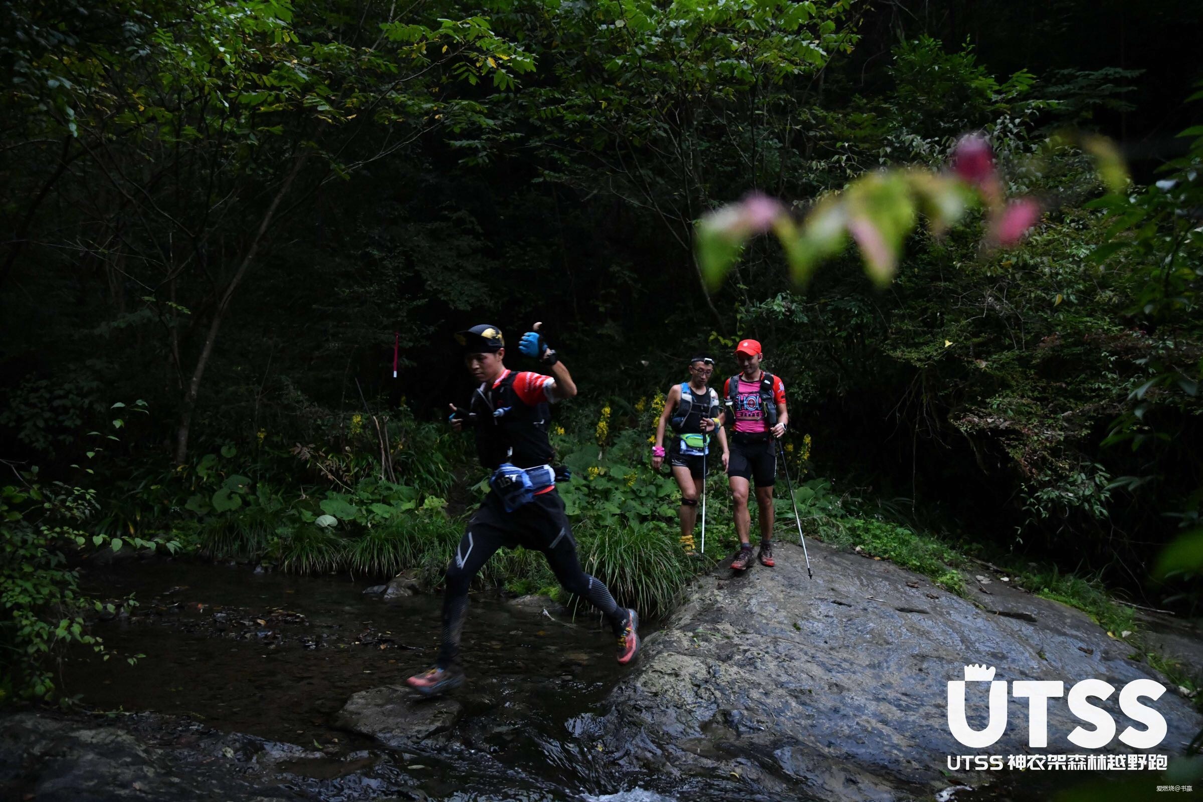 神农见首不见尾