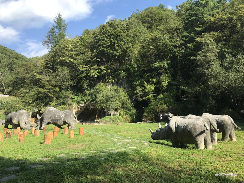 神农见首不见尾