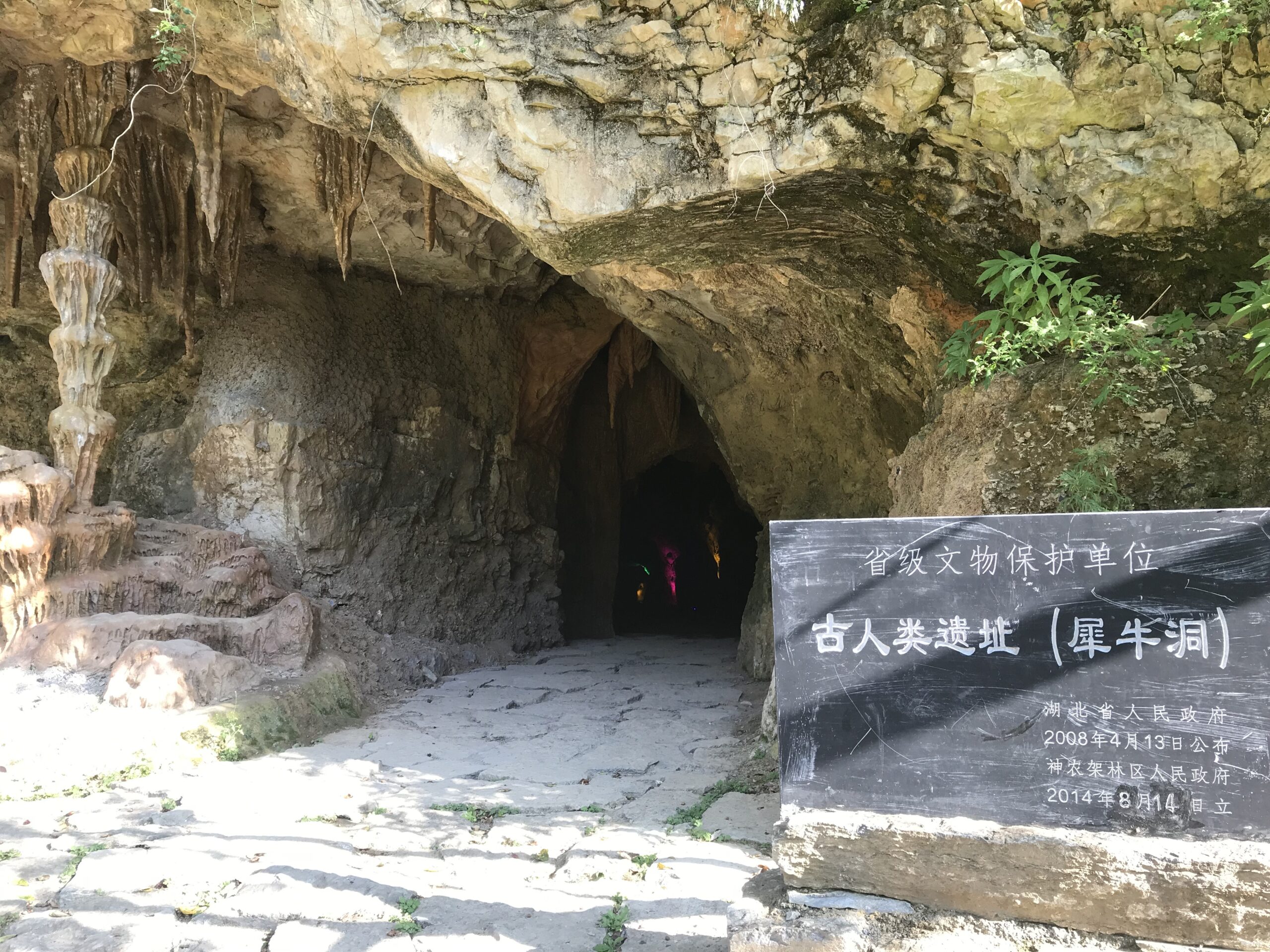 神农见首不见尾