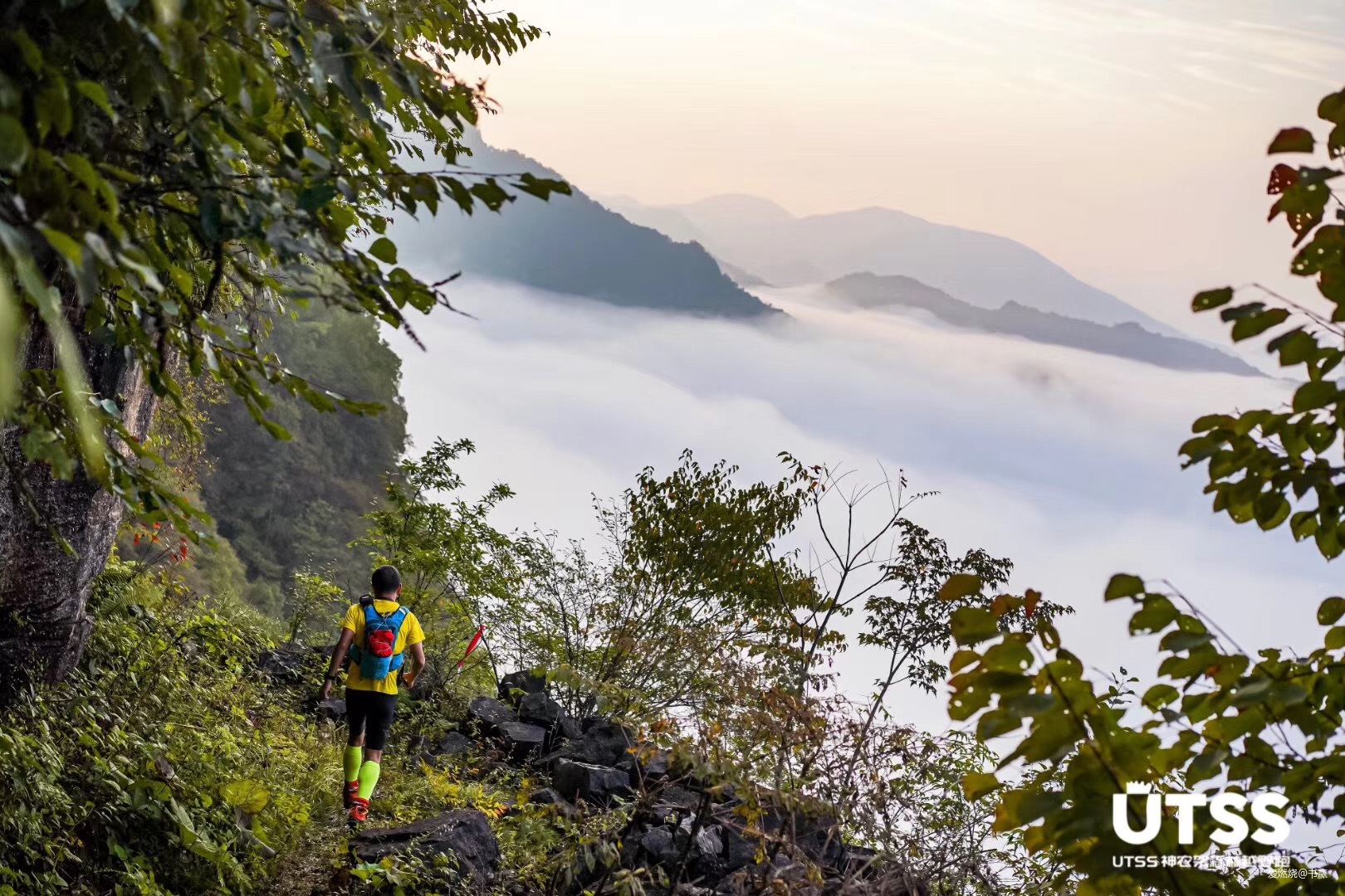 神农见首不见尾
