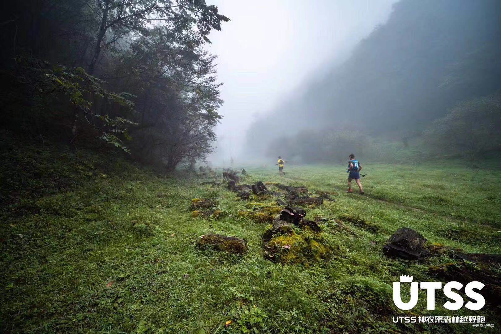 神农见首不见尾