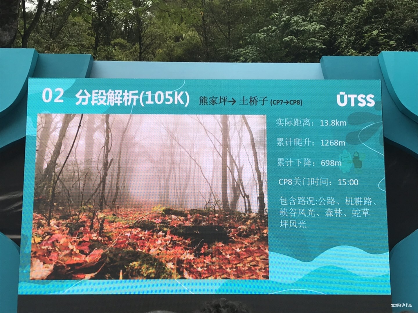 神农见首不见尾