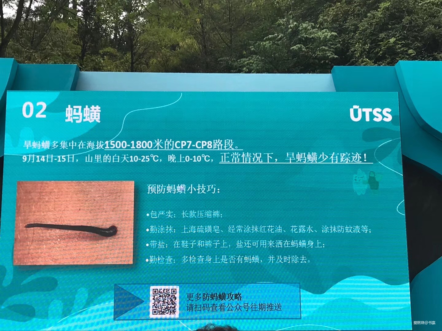 神农见首不见尾