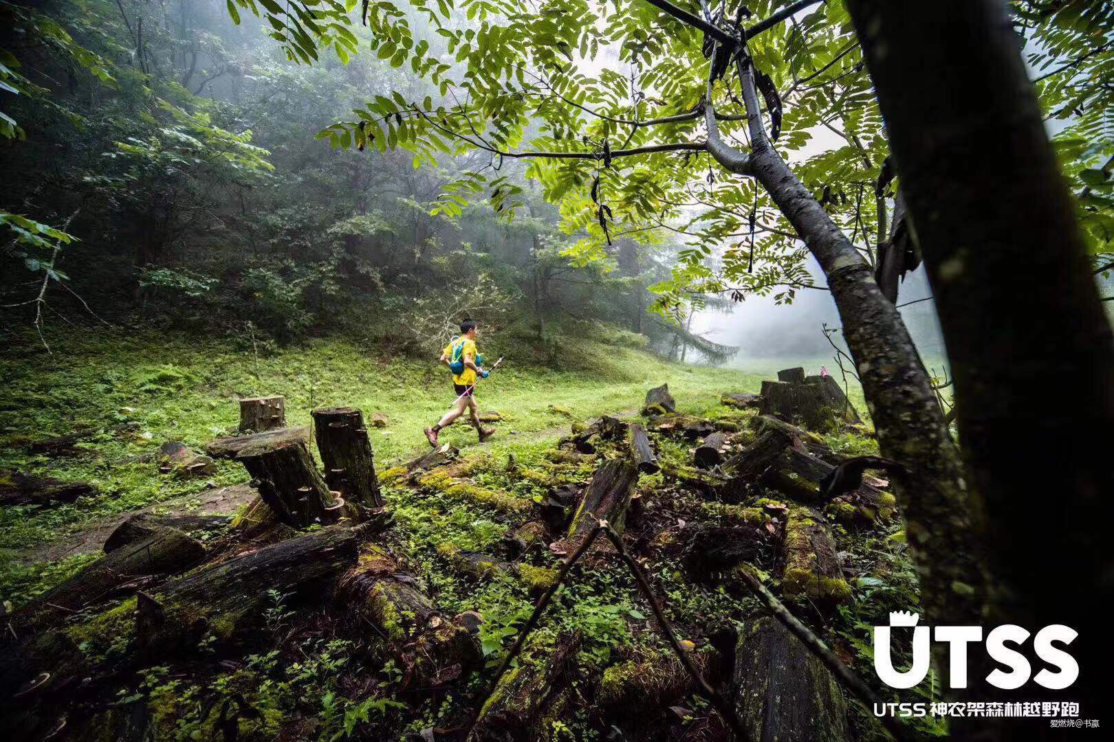神农见首不见尾