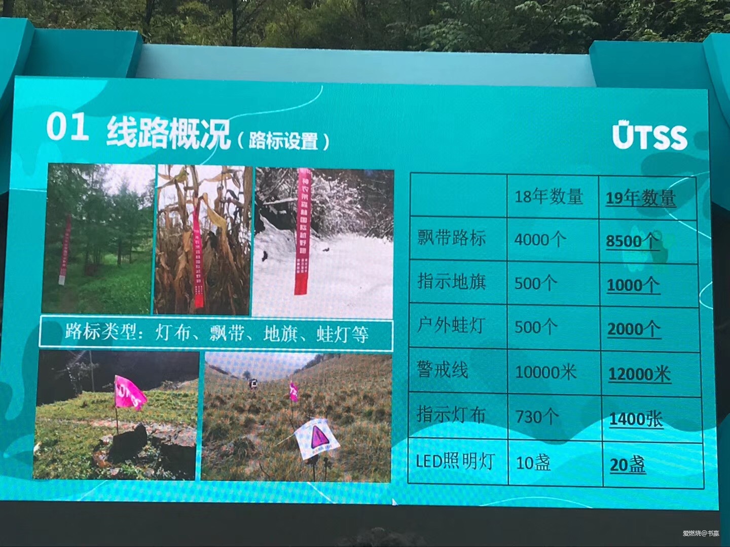 神农见首不见尾