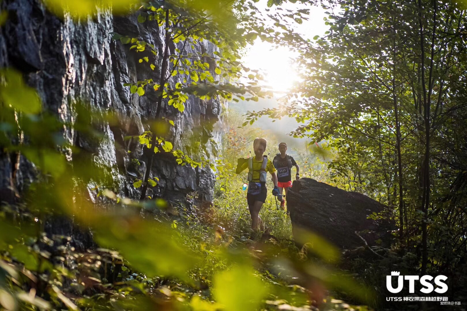 神农见首不见尾