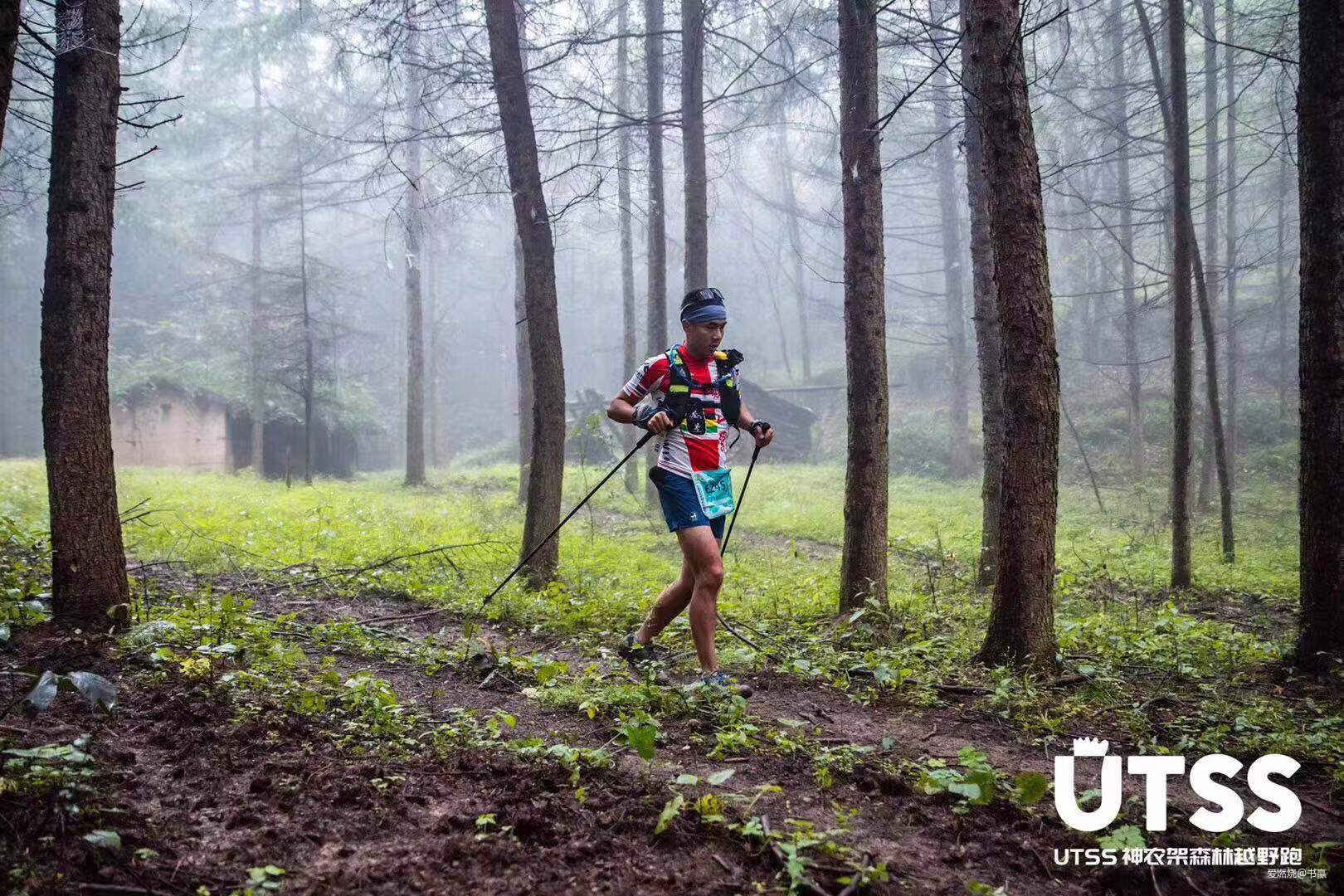神农见首不见尾