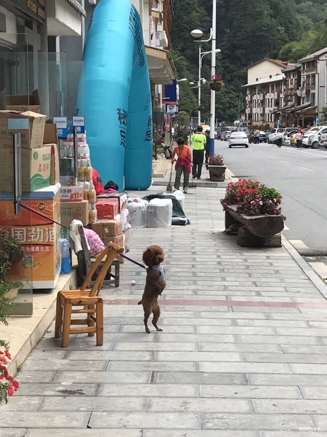 神农见首不见尾