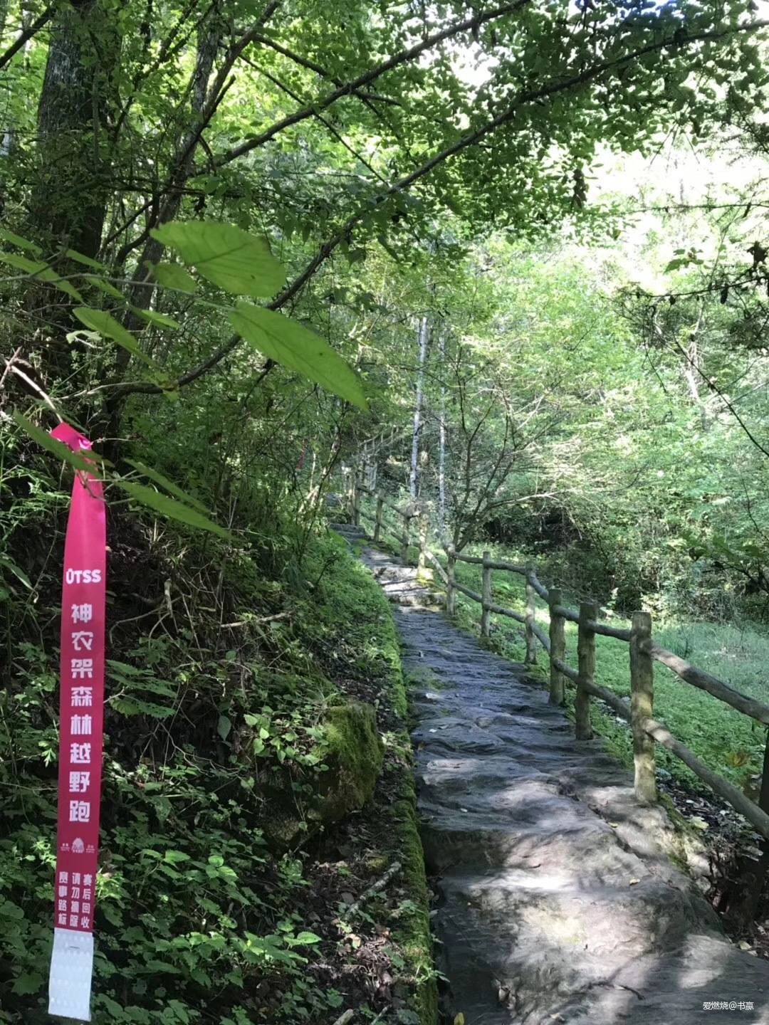 神农见首不见尾