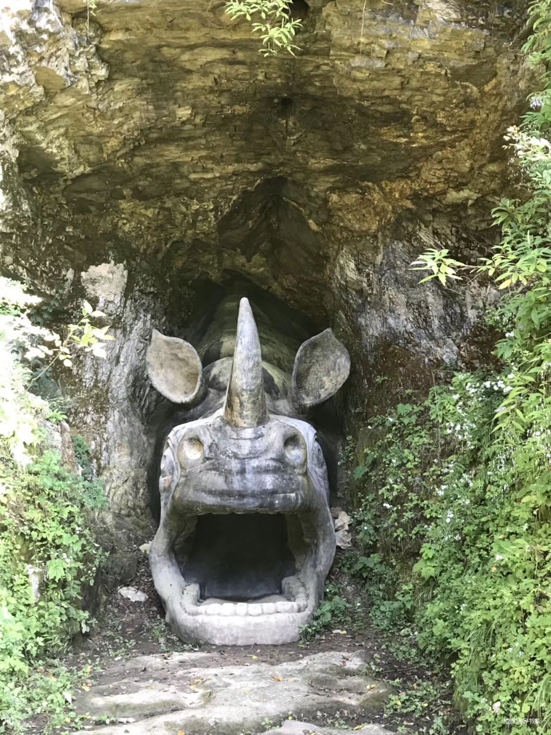 神农见首不见尾