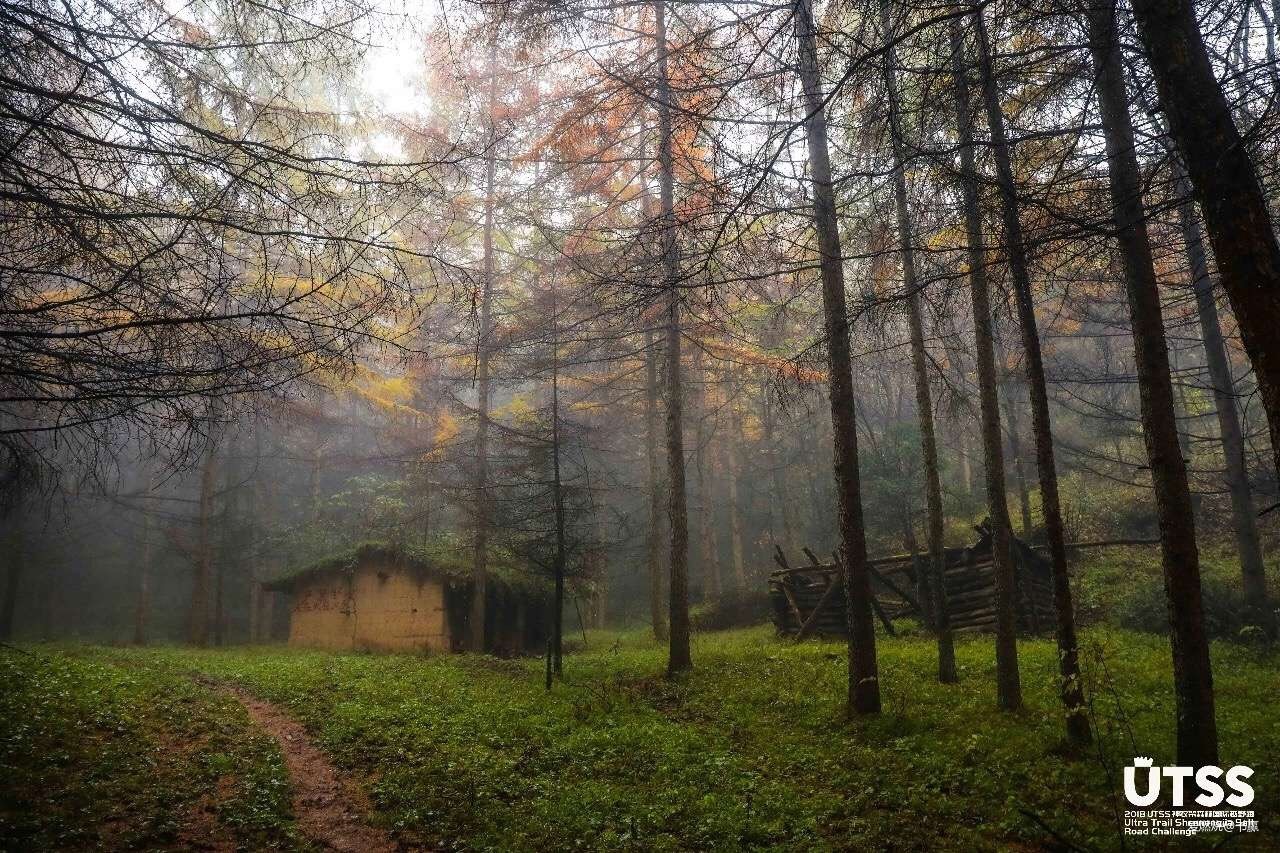 神农见首不见尾