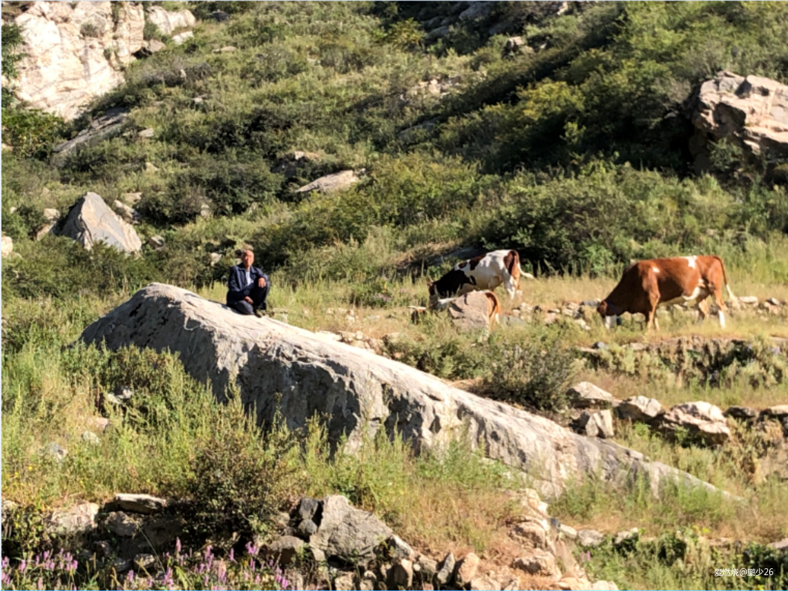 一群人的盛宴——记五岳寨50公里越野赛