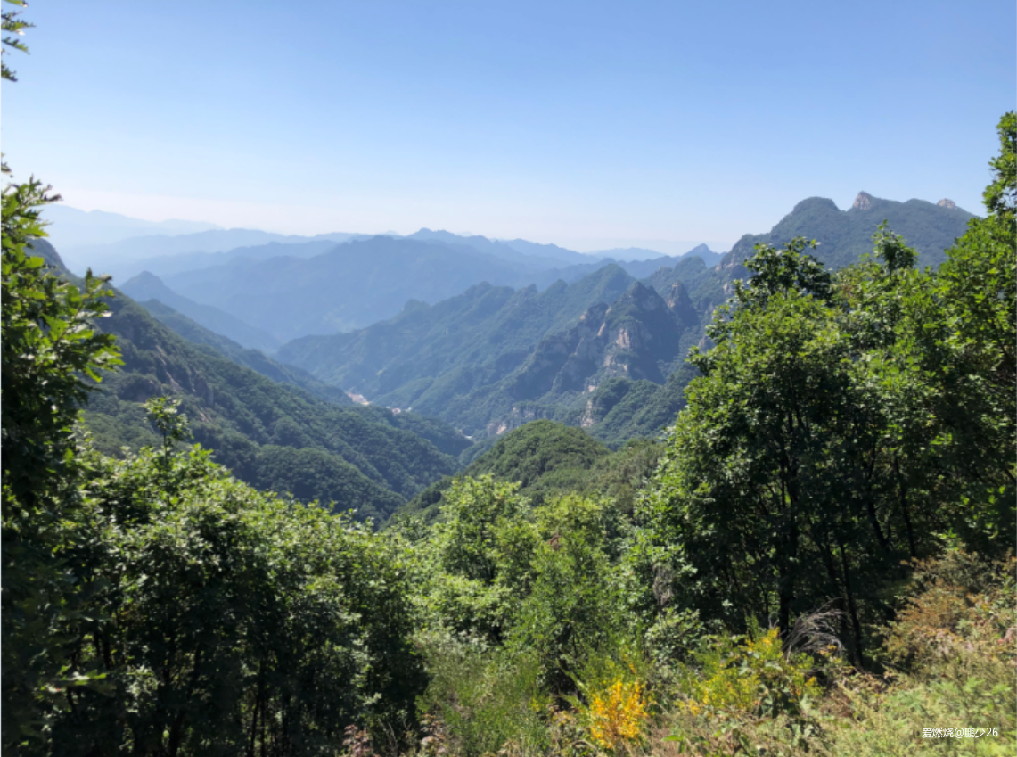 一群人的盛宴——记五岳寨50公里越野赛