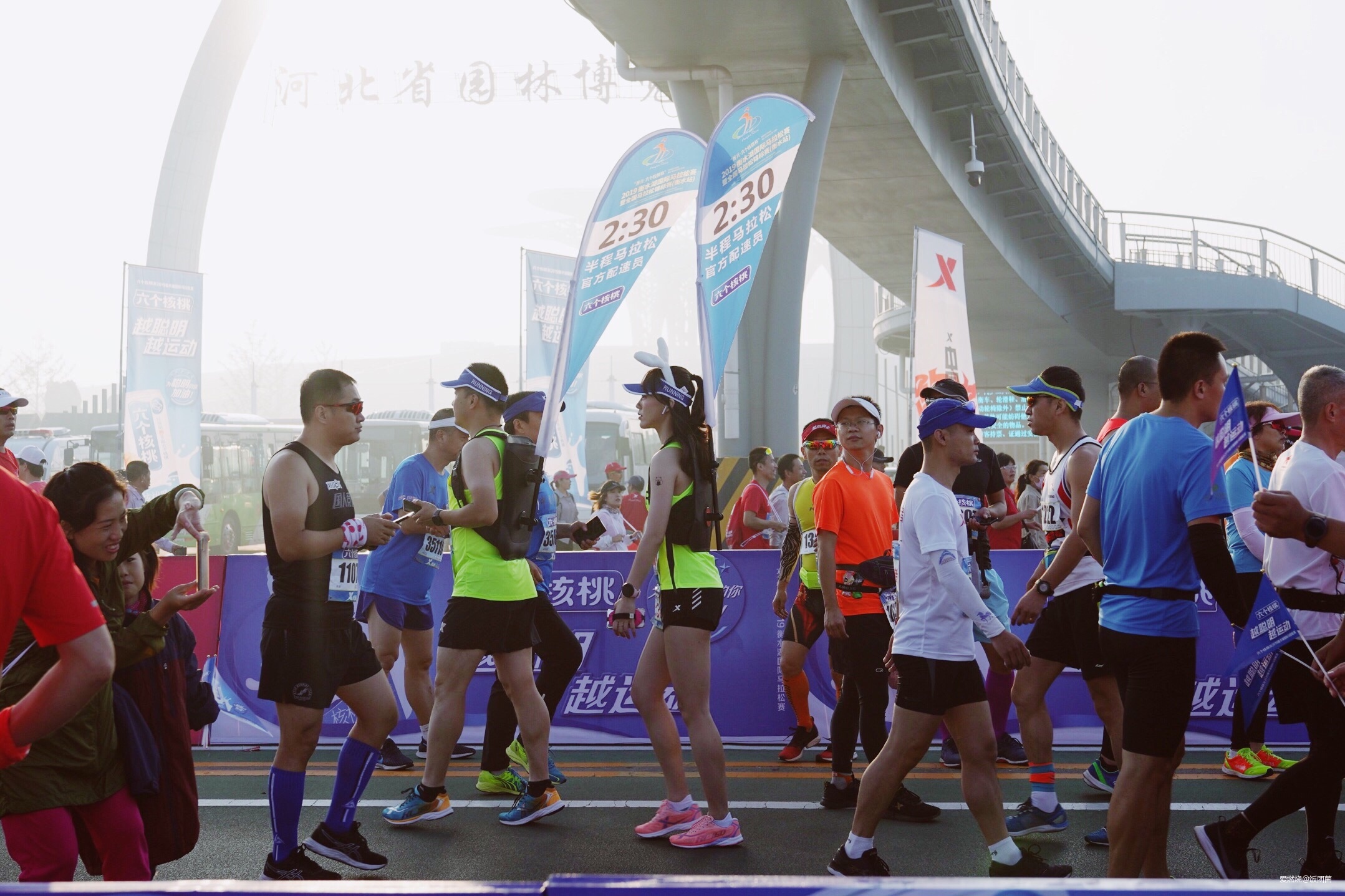 在“双金”马拉松赛事做官方配速员是什么感觉？——饭团子衡马赛记