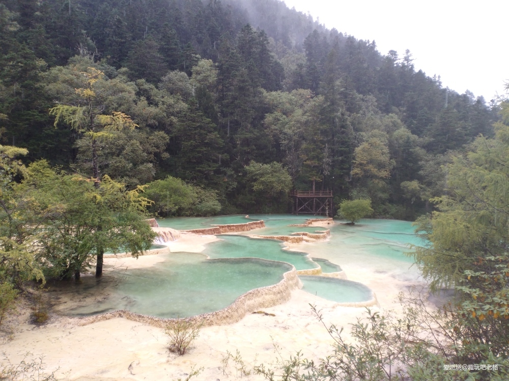 中秋的月饼，黄龙的茶饼，画个大饼，填不满的是那颗满世界去野的心