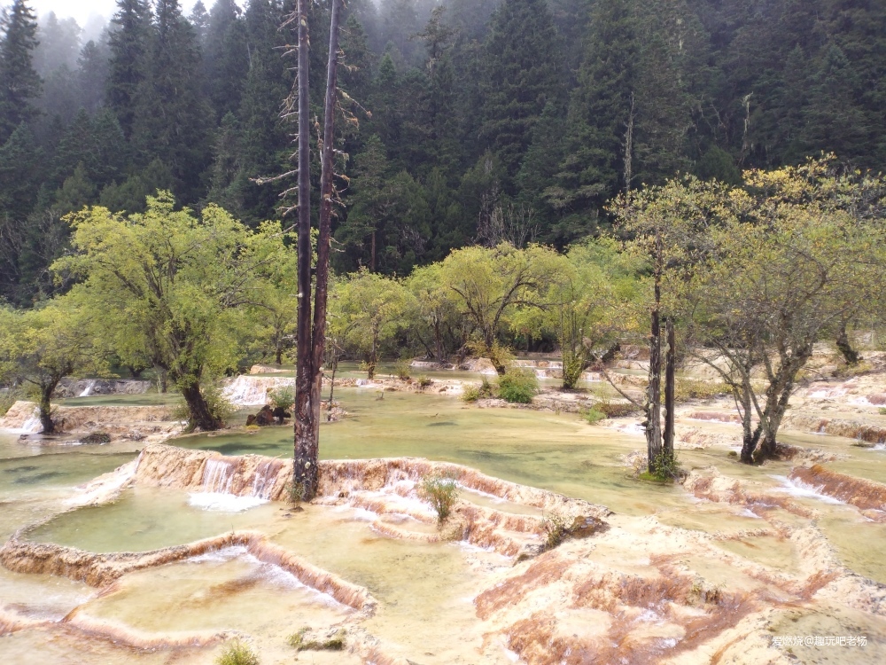 中秋的月饼，黄龙的茶饼，画个大饼，填不满的是那颗满世界去野的心