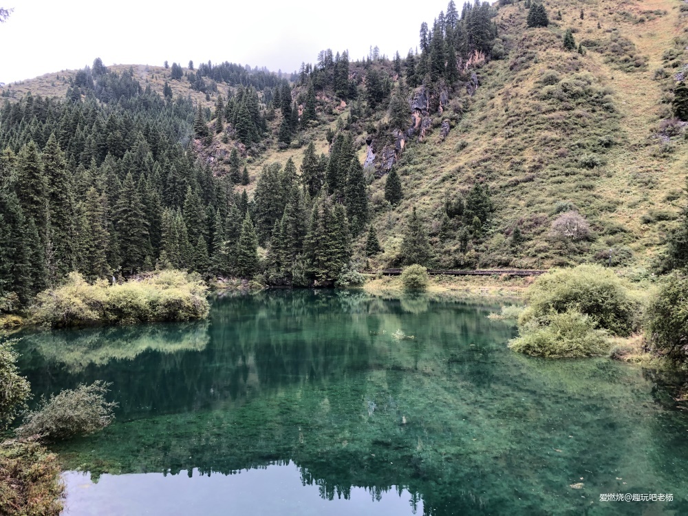 中秋的月饼，黄龙的茶饼，画个大饼，填不满的是那颗满世界去野的心
