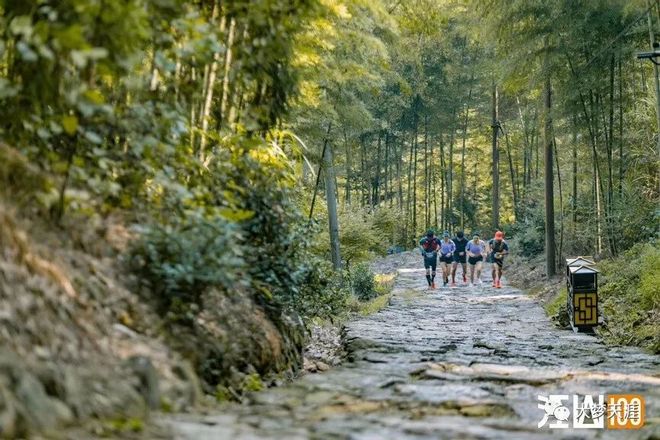 虐到不行——大梦的2019江山一百60公里组赛记