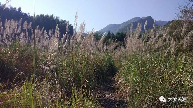 虐到不行——大梦的2019江山一百60公里组赛记