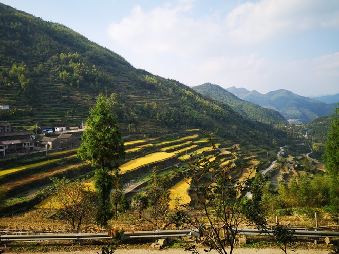 宁海100 | 不要怕，硬怼！