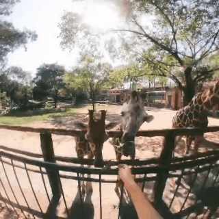 Insta360GO——旋转在指尖的vlog神器