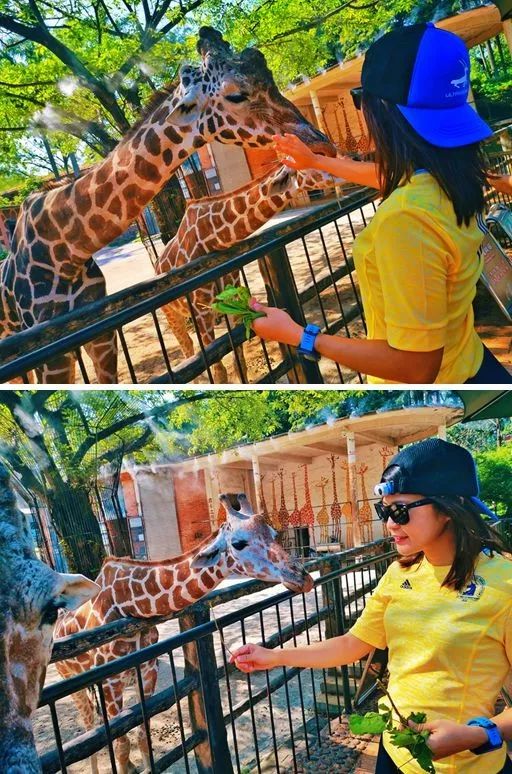 Insta360GO——旋转在指尖的vlog神器