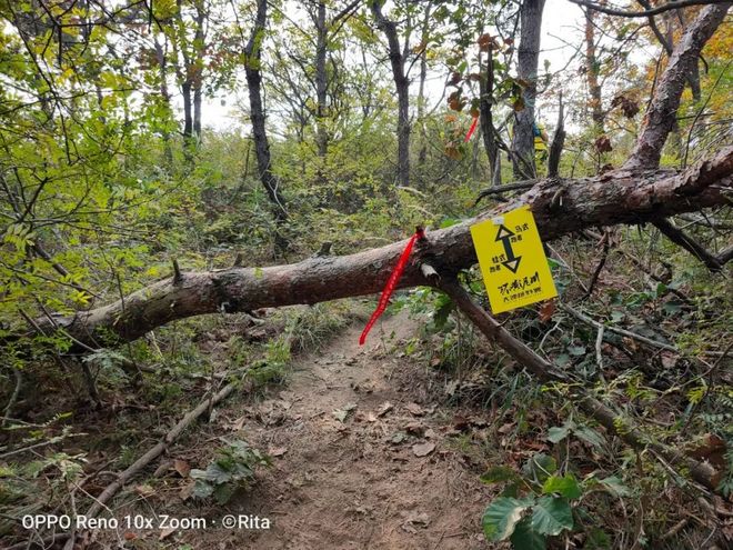 环黄 | 从志愿者到选手，越野教会我们懂得敬畏和感恩