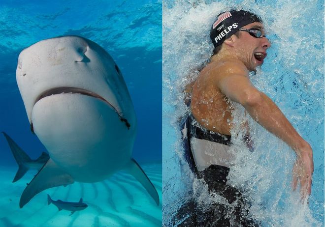 碳板跑鞋未来会被禁还是成为主流？