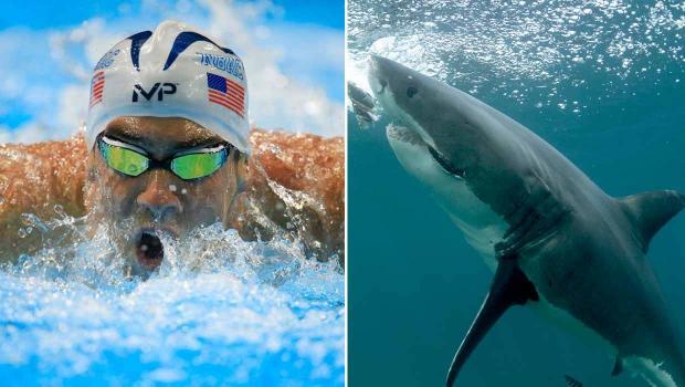 碳板跑鞋未来会被禁还是成为主流？