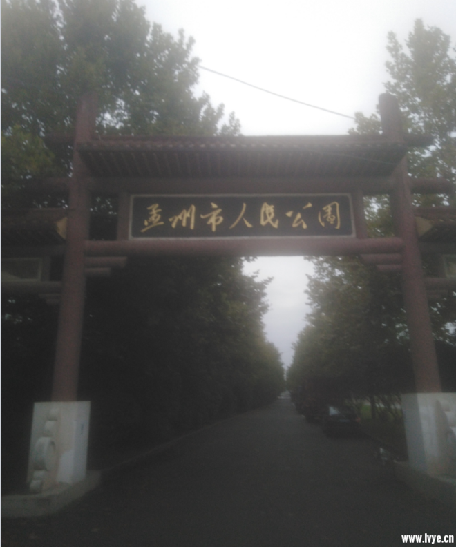 VIGHT Airy艾瑞运动眼镜，为我的运动保驾护航