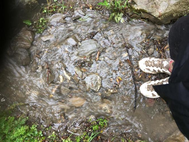 凯乐石 NASA联名款Fuga Pro越野跑鞋，黄龙越野赛体验