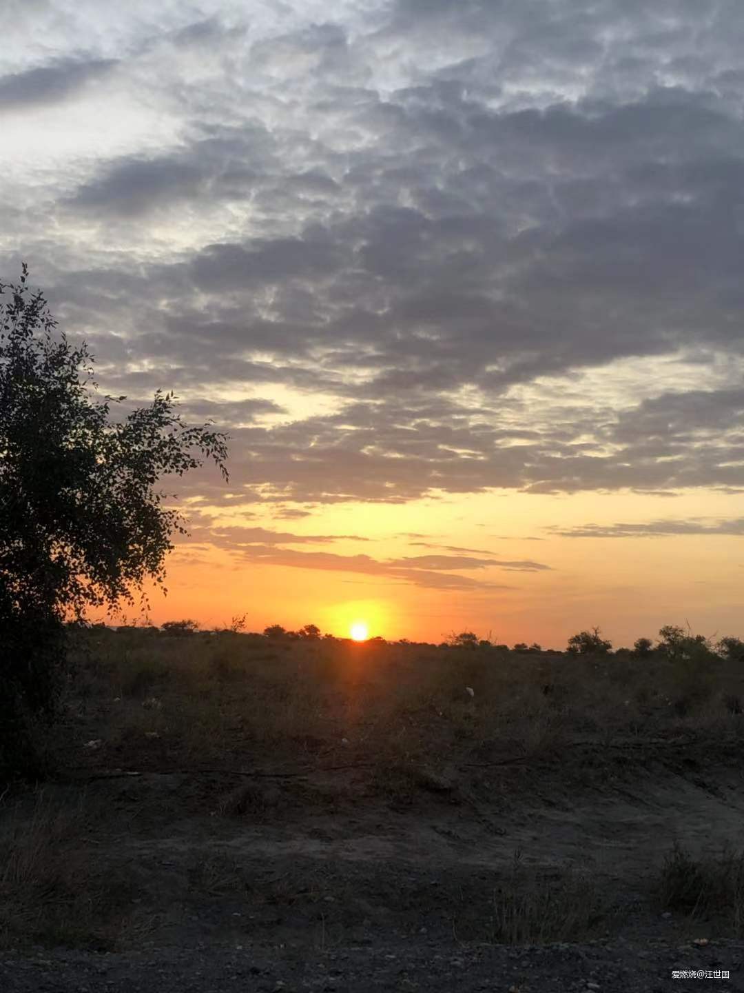 先穿胡杨林  再转幻彩湖——新疆伊吾胡杨林与幻彩湖两日两马赛记